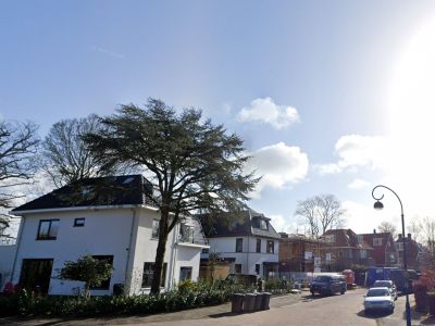 Johan de Wittlaan - Haarlem